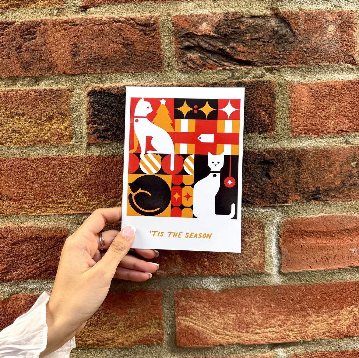 Christmas Cards (Pack of 10)